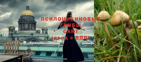 МДПВ Няндома