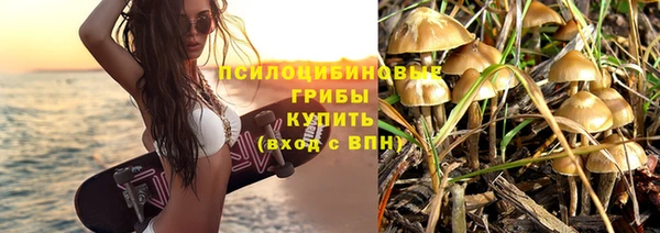 МДПВ Няндома