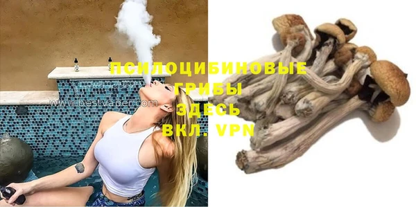 apvp Нягань