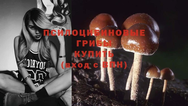 тгк Нязепетровск