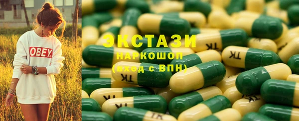 амф Гусев
