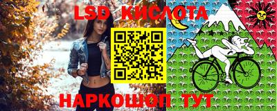 ECSTASY Заволжье
