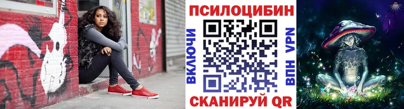 где найти   Сердобск  Псилоцибиновые грибы Psilocybine cubensis 