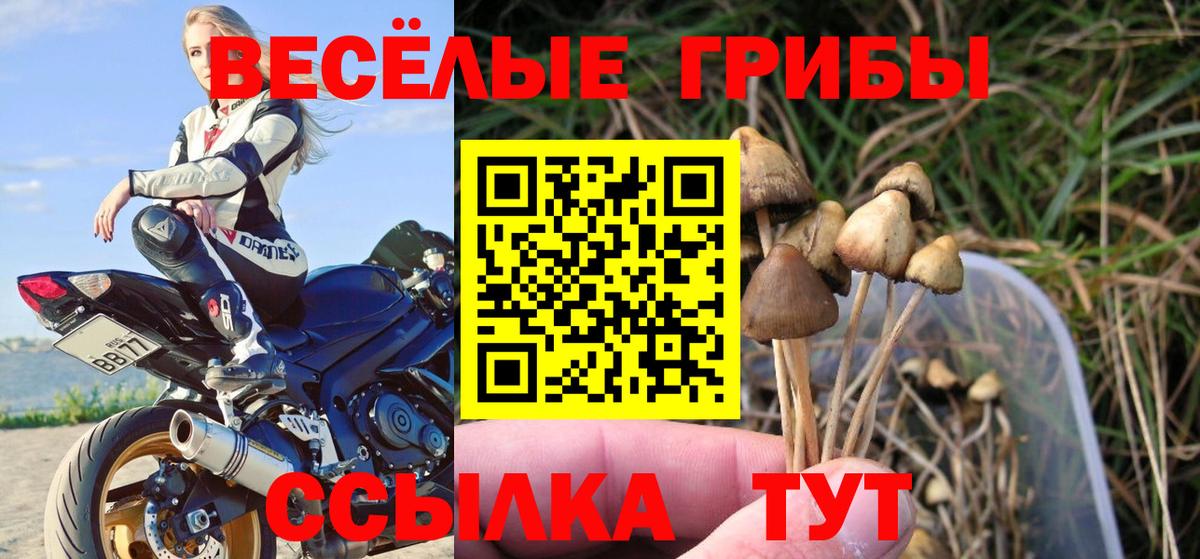 Галлюциногенные грибы Magic Shrooms  Псилоцибиновые грибы прущие грибы  Вход с VPN  Сердобск 