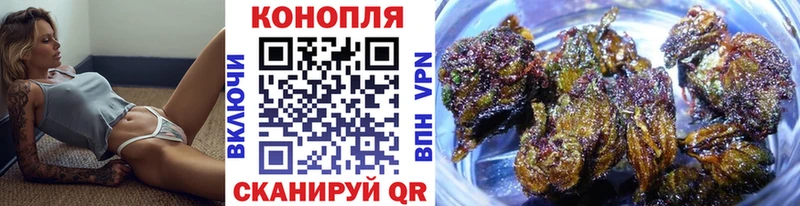 блэк спрут   Сердобск  Бошки Шишки White Widow 